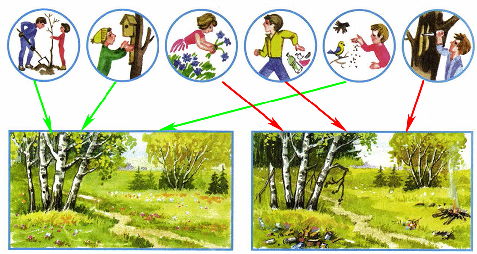 На первом рисунке покажи. Окружающий мир когда мы станем взрослыми. Покажите стрелками зеленого цвета хорошие поступки. Когда мы станем взрослыми 1 класс. Когда мы станем взрослыми окружающий мир Плешаков.