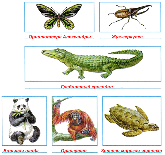 Красная книга рабочая тетрадь 4 класс